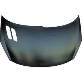 CAPOT PEUGEOT 206+. 09