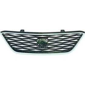 GRILLE AVANT IBIZA. 12 06.15