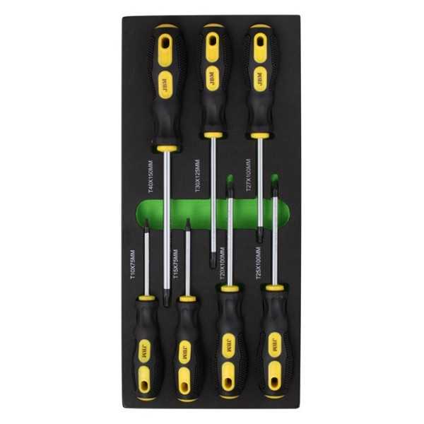 MODULE TOURNEVIS TORX EVA