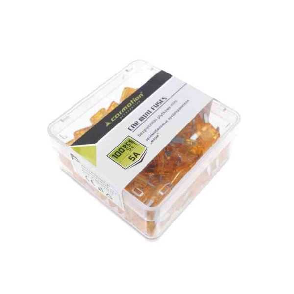 Fusibles mini plaque 5A