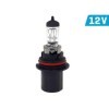 Ampoule VISION HB1 9004 12V 65   45W P29t U