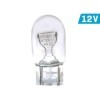 Lots de 10 Ampoules VISION W21W 12V 21W W3x16d