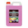 Liquide laveglace Protecton 5 litres