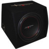 Excalibur 12 Bass Reflex BoomBox 300W RMS 1000W