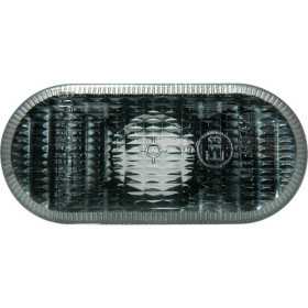 Set Clignotants Convient pour Renault  Nissan Divers  Fumée