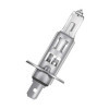 Lampe halogène Osram Original  H1  12V55W  par pièce