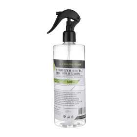 Bouteille atomiseur Carmotion 500 ml pour application précise de li...