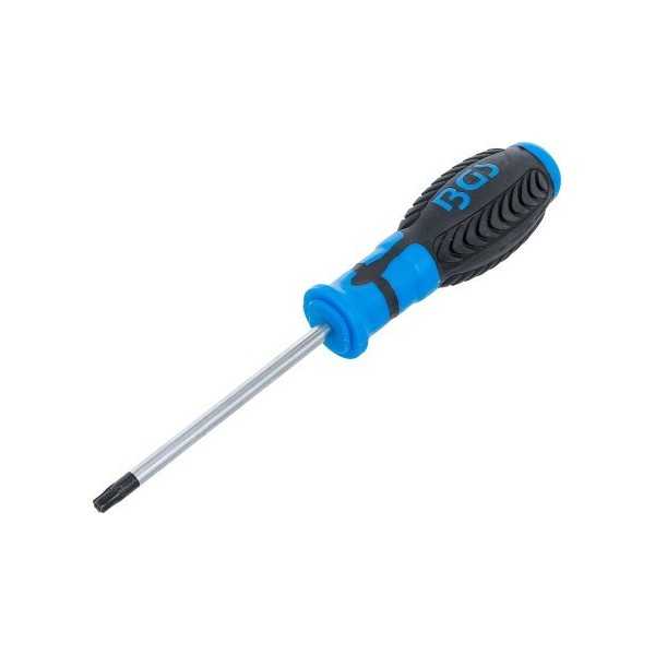 Tournevis profil T pour Torx avec perÃ§age T30 longueur de la lame 100 mm