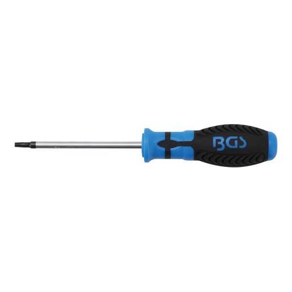 Tournevis profil T pour Torx avec perÃ§age T25 longueur de la lame 100 mm