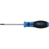 Tournevis profil T pour Torx avec perÃ§age T25 longueur de la lame 100 mm