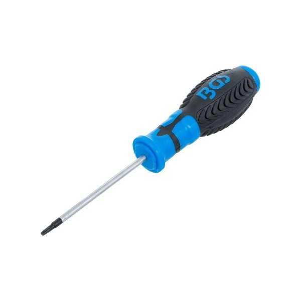 Tournevis profil T pour Torx avec perÃ§age T10 longueur de la lame 80 mm