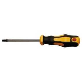 Tournevis profil en T pour Torx T30 longueur de la lame 100 mm