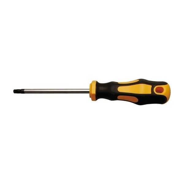 Tournevis profil en T pour Torx T30 longueur de la lame 100 mm