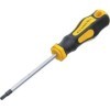 Tournevis profil en T pour Torx T25 longueur de la lame 100 mm