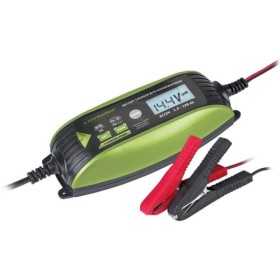 Chargeur avec microprocesseur pour batteries 6V 12V - 2A 4A