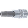 Douille Ã  embouts 6 3 mm 1/4" profil TS pour Torx Plus avec perÃ§age TS40
