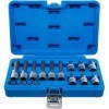 Jeu de douilles Ã  embouts 6 3 mm 1/4" / 12 5 mm 1/2" Profil T pour Torx Plus avec perÃ§age 18 piÃ¨ces