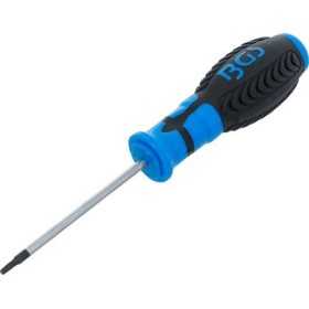 Tournevis profil T pour Torx T10 longueur de la lame 80 mm
