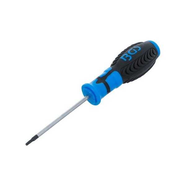 Tournevis profil T pour Torx T10 longueur de la lame 80 mm