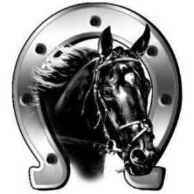 Tatouage automatique 128  Cheval avec fer à cheval 7x6cm | avisa | ...