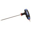 Tournevis avec poignÃ©e en T Profil T pour Torx T15