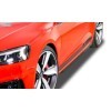 RDX Schidekirts pour Audi Rs5 F5 "Slim"