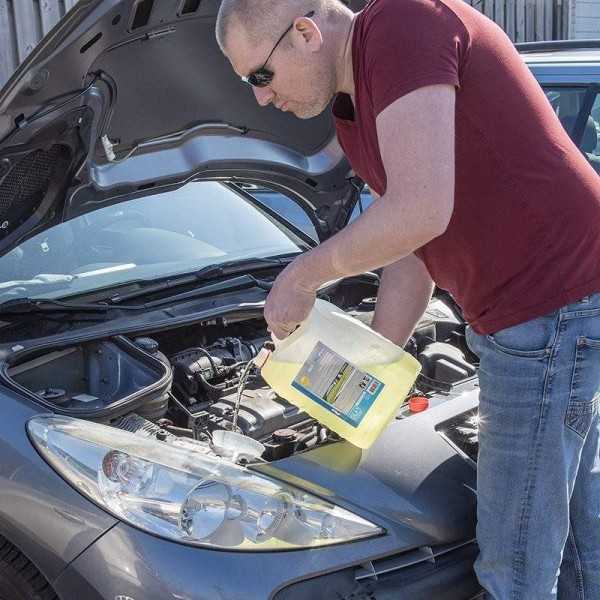 Lave-glace été prêt à l'emploi 5 litres | ProPlus | Lave-Glace
