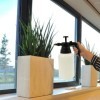 Pulvérisateur de jardin 1L | ProPlus | Seau & Vaporisateur