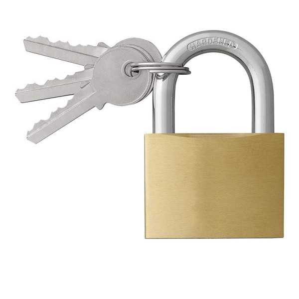 Cadenas 50mm | ProPlus | Cadenas & Boite Outil