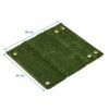 Tapis brosse pour marche pied herbe | ProPlus | Tapis de sol