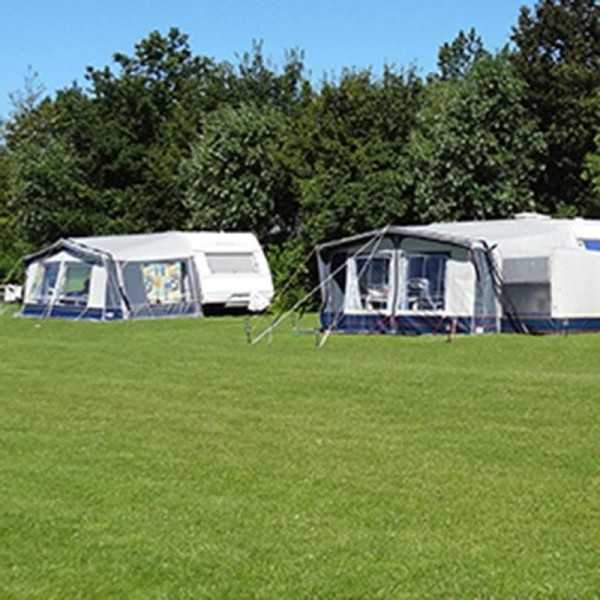 Sangle anti-tempête 12,5M | ProPlus | Sangle