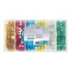 Fusibles standard assortiment 120 pièces en coffre plastique | ProP...