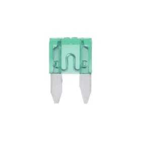 Fusibles mini 30A vert 6 pièces dans blister | ProPlus | Fusible
