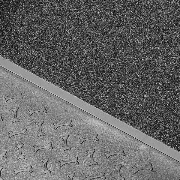 Rampe pour chien | ProPlus | Animal