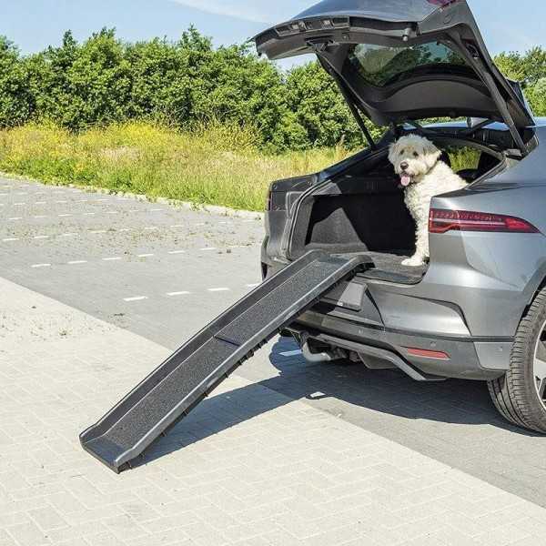 Rampe pour chien | ProPlus | Animal