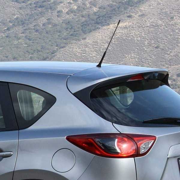 Antenne de voiture Incl. adaptateurs M5 & M6 | ProPlus | Antenne