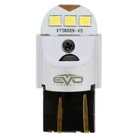 AMP.LED S600 12/24V T20 W21/5W DBLE FILAMENT CANBUS-6500K BL.PURE-1PC