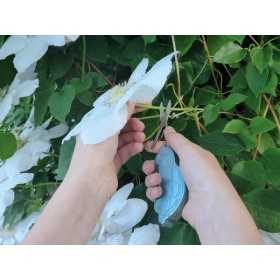 VW BEETLE 3D COUTEAU EN CADEAU TIN - BLEU |  | Extérieur et voyage