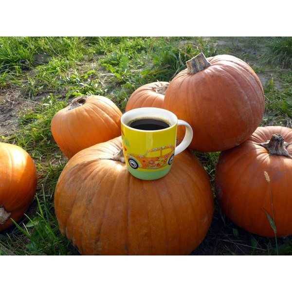 VW BEETLE CAFÉ TASSE 370ml EN COFFRET - FLEURS |  | Tasse & Mug