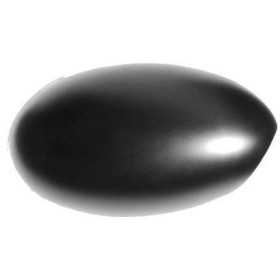 CAPUCHON DE MIROIR RE. MINI. 44348