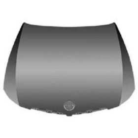 CAPOT BMW E90. 05 09.08