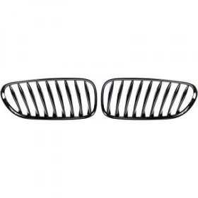 ENSEMBLE DE GRIL DESIGN Z4. 03 09    PERFORMANCE OPTIK
