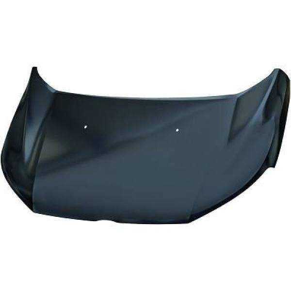 CAPOT ECOSPORT. 13 02.18            STAHL.