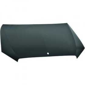 CAPOT W205. 14 21                STAHL