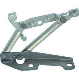 CHARNIÃˆRES DE CAPOT RE. INSIGNE. 42948