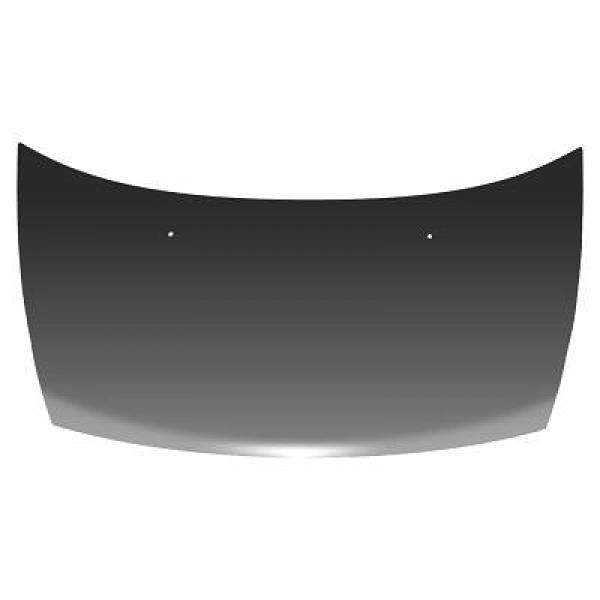 CAPOT CITROEN C3. 02 05       NICHT PLURIEL